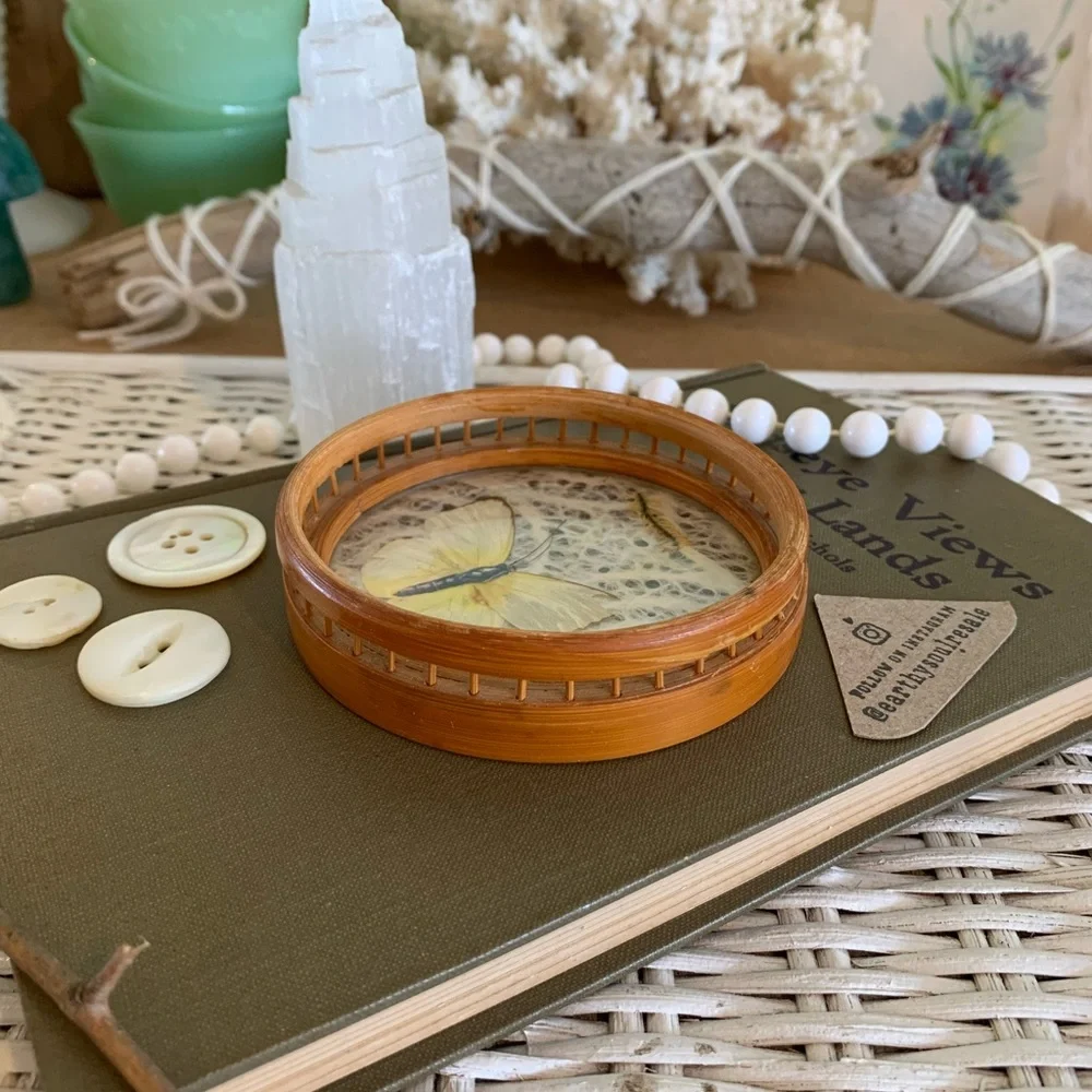 Vintage Butterfly Coaster 🦋 Unique Home Decor / Gift / Retro / Nature / Table - Picture 4 of 7